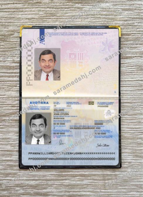 Andorra passport photo look
